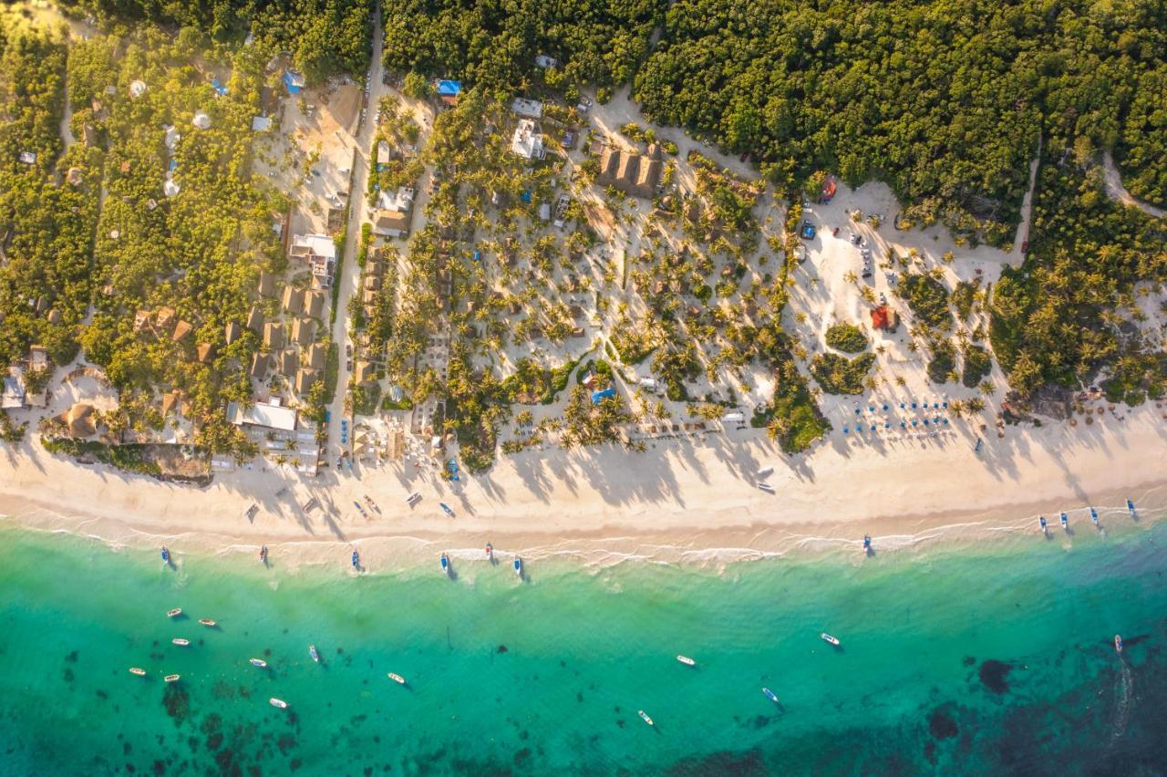 Alito Tulum Hotel المظهر الخارجي الصورة