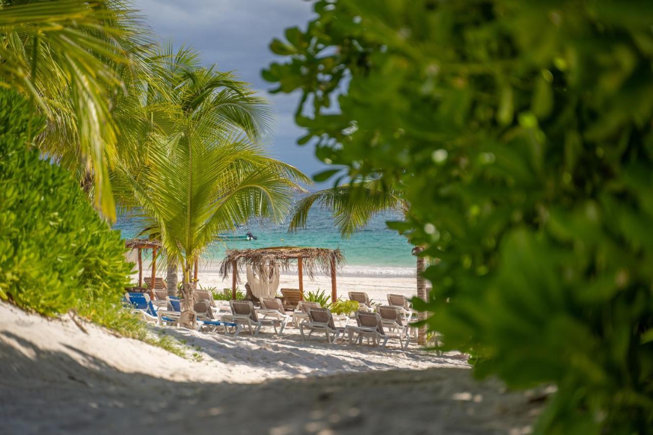 Alito Tulum Hotel المظهر الخارجي الصورة