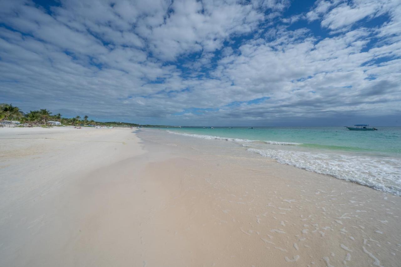 Alito Tulum Hotel المظهر الخارجي الصورة