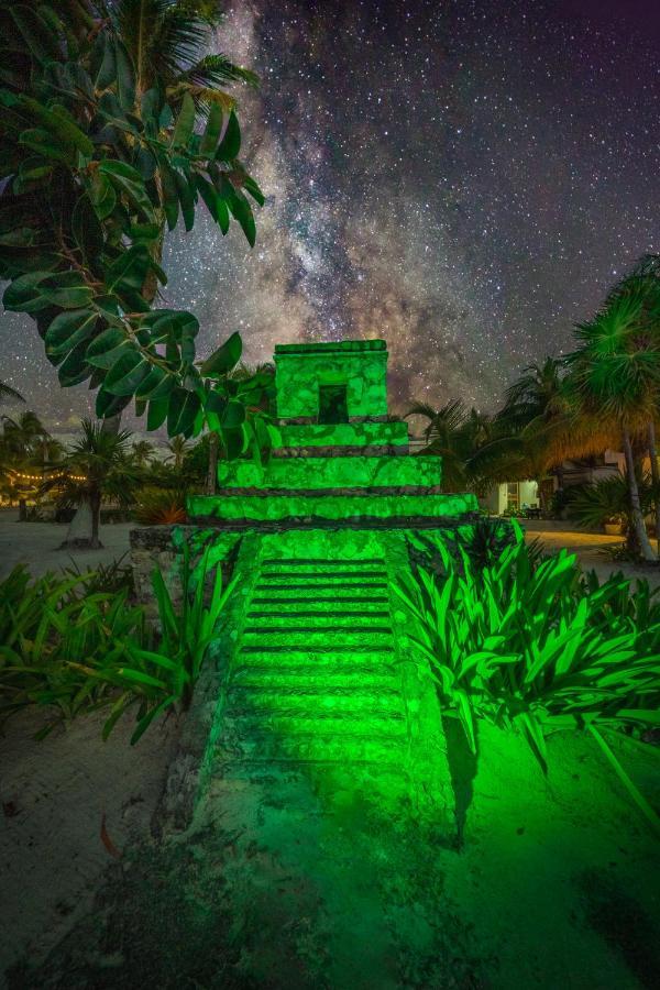 Alito Tulum Hotel المظهر الخارجي الصورة