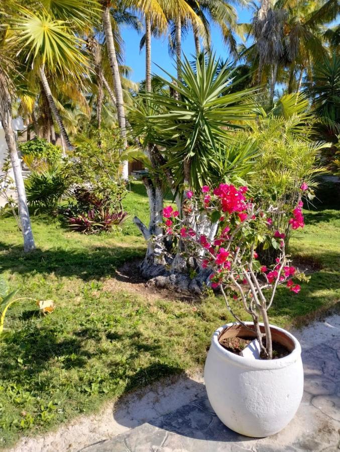 Alito Tulum Hotel المظهر الخارجي الصورة