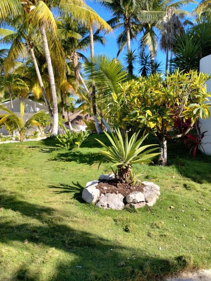Alito Tulum Hotel المظهر الخارجي الصورة