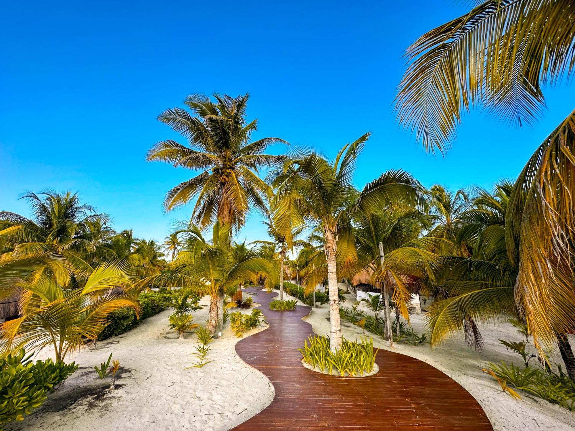 Alito Tulum Hotel المظهر الخارجي الصورة