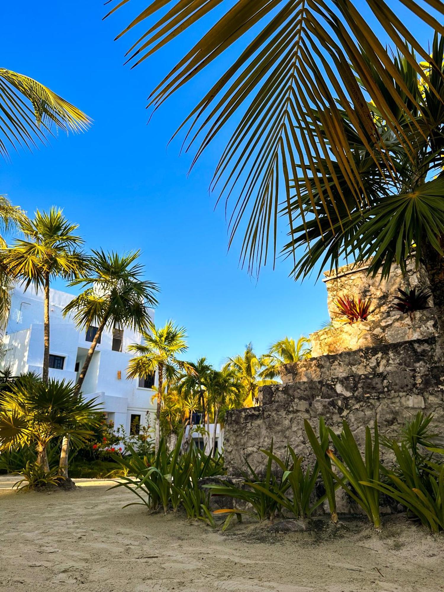 Alito Tulum Hotel المظهر الخارجي الصورة