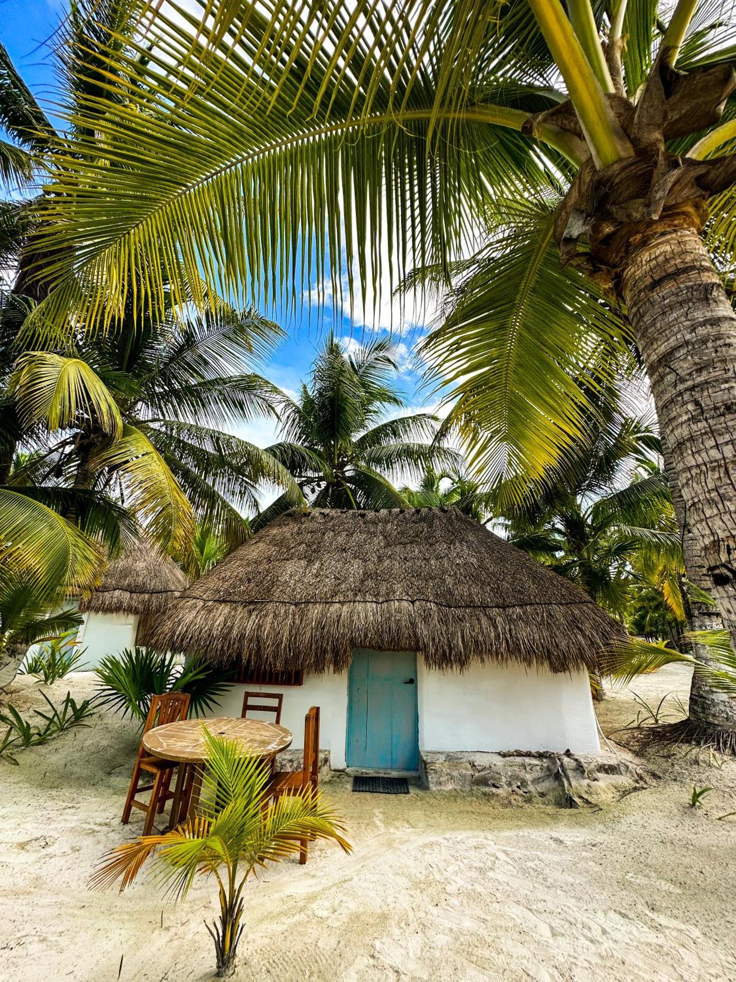 Alito Tulum Hotel المظهر الخارجي الصورة