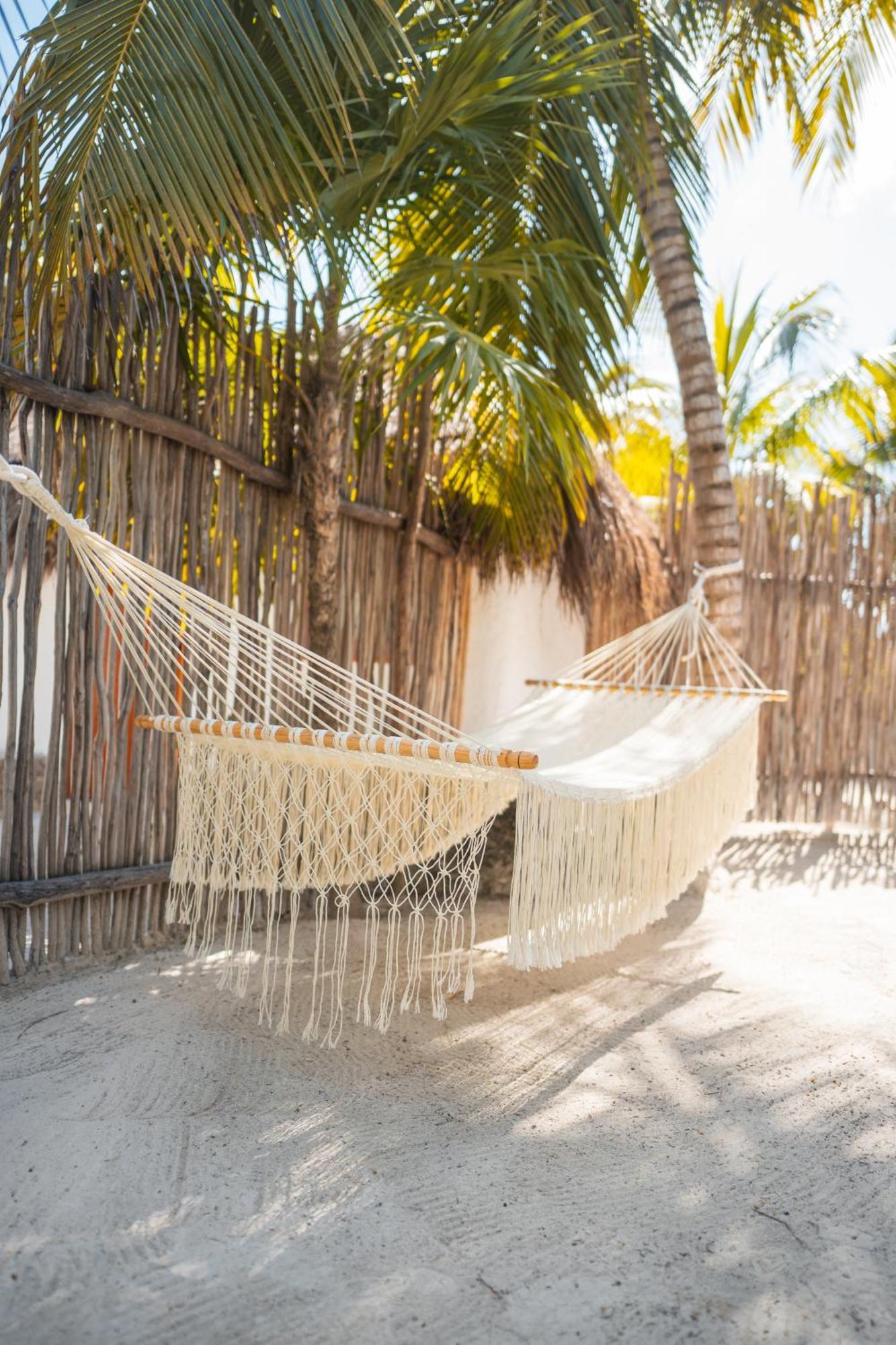 Alito Tulum Hotel المظهر الخارجي الصورة